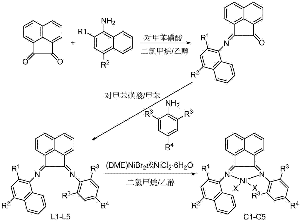 含有萘基取代的不对称苊二亚胺镍配合物及其制备方法与应用与流程