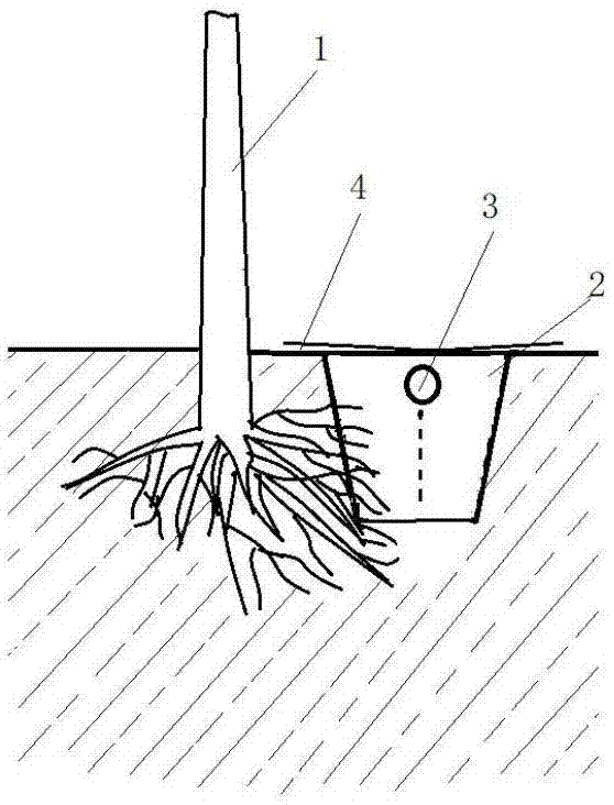 一种苹果肥水集约化省力栽培方法与流程