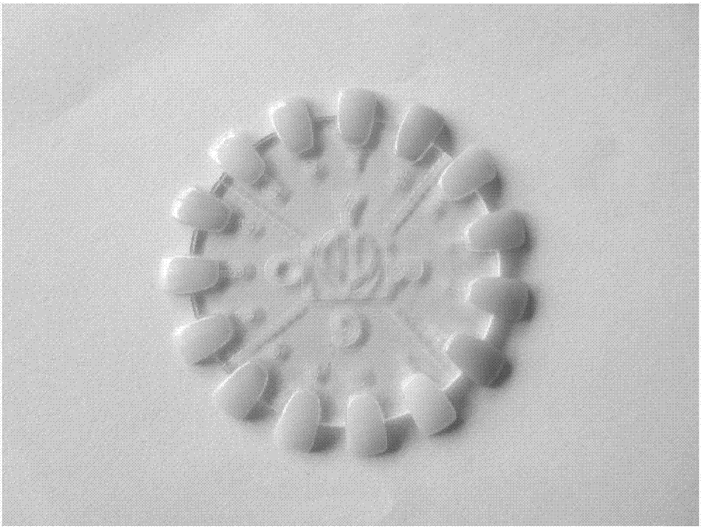 一种氧化锆义齿色卡标样、制备方法及使用方法与流程