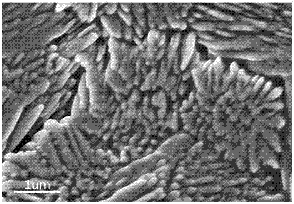 利用晶态合金制备纳米多孔催化剂方法、纳米多孔PdCuNi-S催化剂及用途与流程