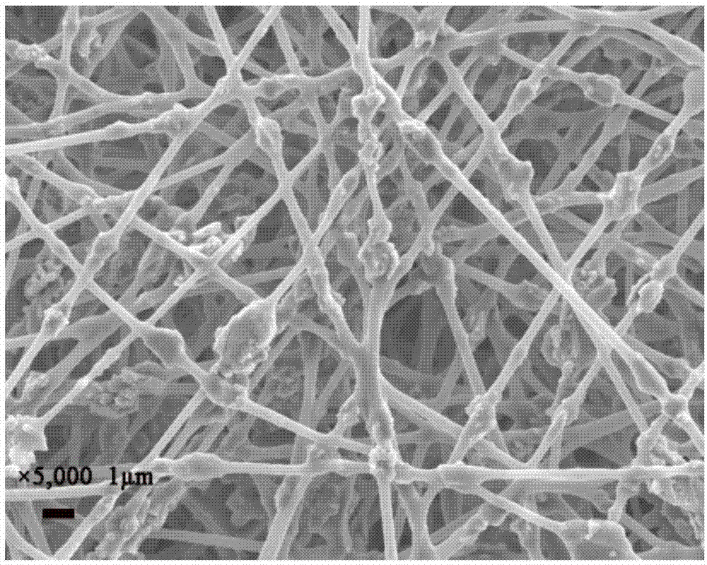 一种硅藻土纤维及其制备方法与流程