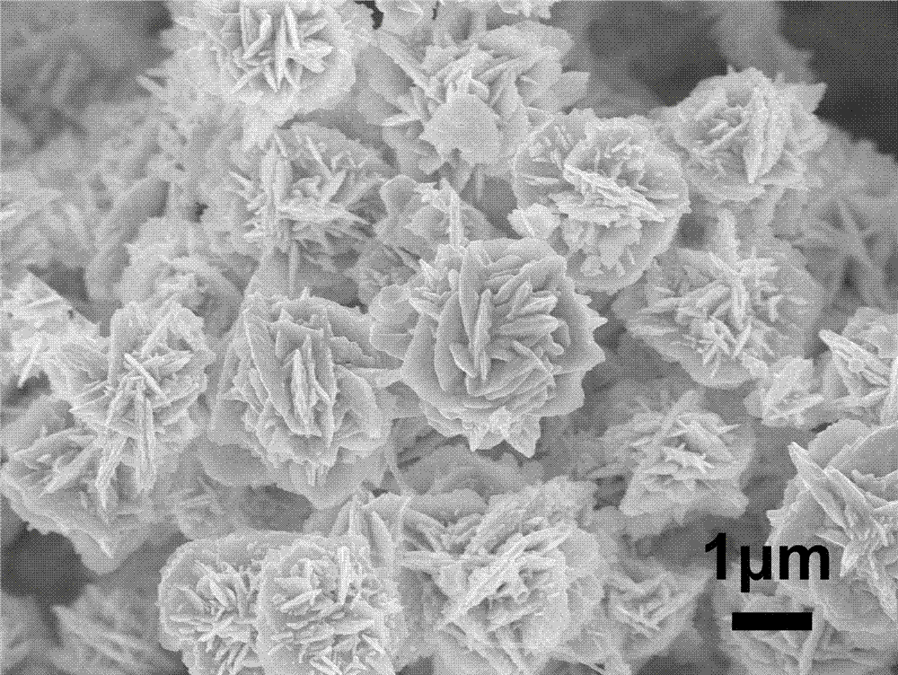 一种离子液体水溶液中金纳米花的制备方法与流程