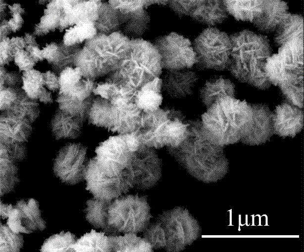 一种类球状纳米银片团簇的制备方法与流程