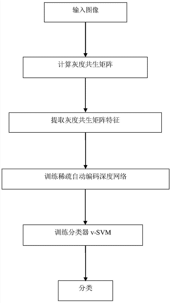 基于稀疏自动编码深度网络的乳腺图像处理方法与流程