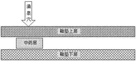 一种具有活血降压作用的药物鞋垫的制作方法