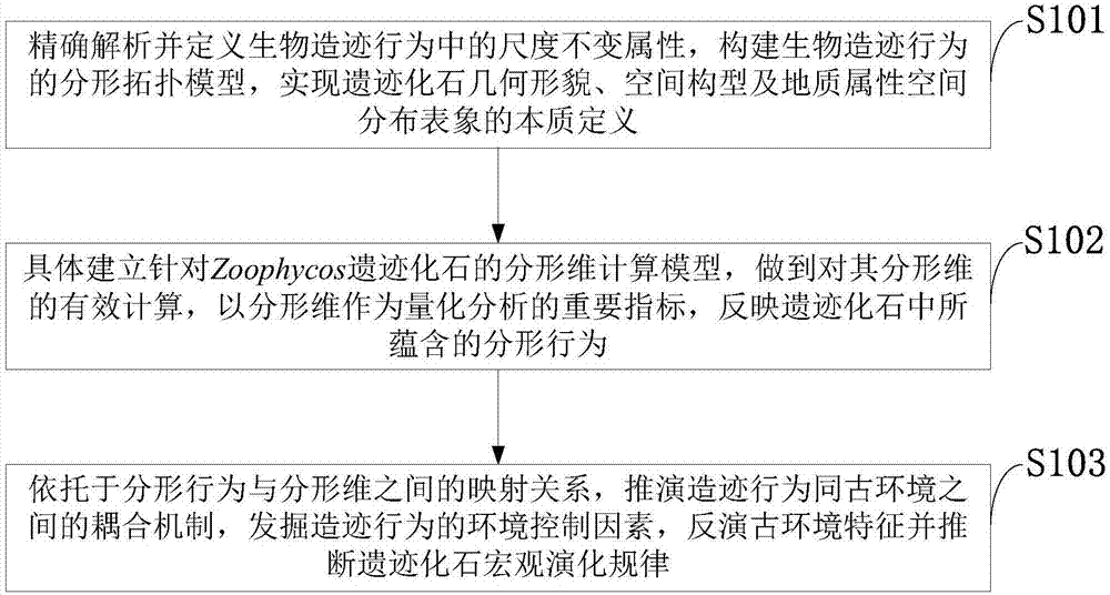 一种Zoophycos遗迹化石分形拓扑模型及其构建方法和应用与流程