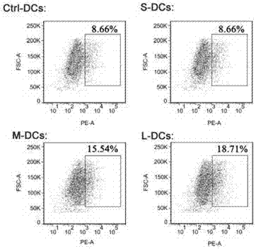 氧化石墨烯在制备树突状细胞功能促进剂中的应用的制作方法