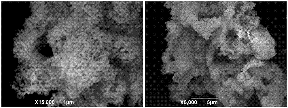 一种地龙蛋白微球纳米创伤复合物的制备方法及应用与流程