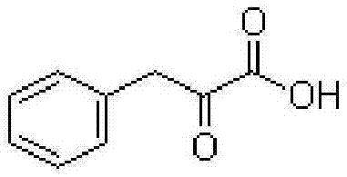 一种高效生产苯丙酮酸的方法与流程
