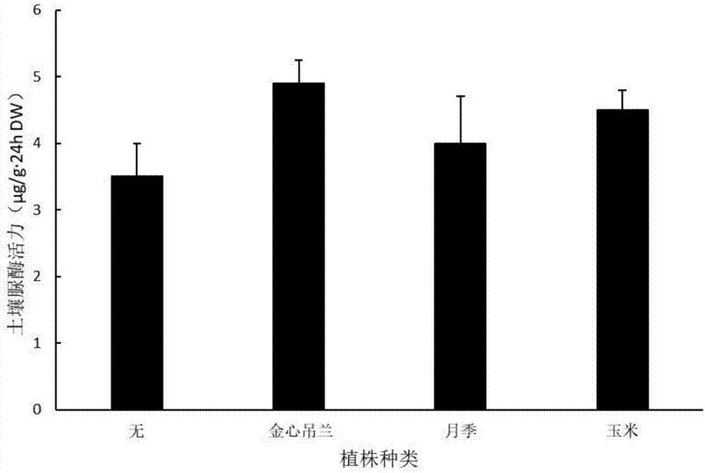 种植金心吊兰改良土壤的方法与流程