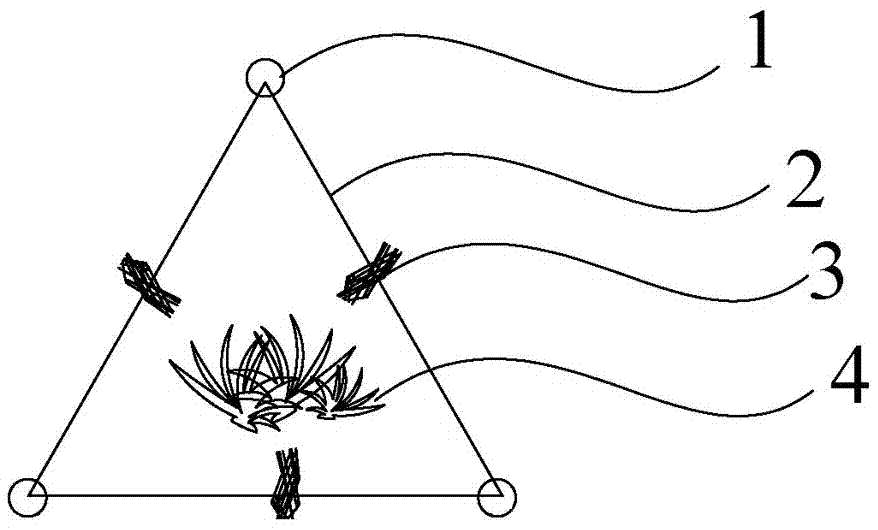 一种植物网结构生态护滩方法与流程