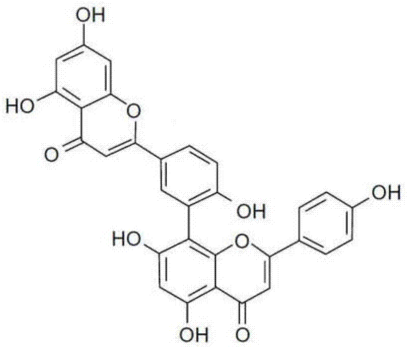 穗花杉双黄酮在治疗鸡坏死性肠炎中的医用用途的制作方法