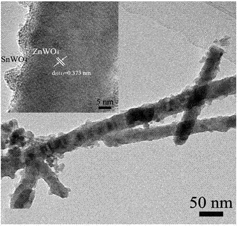 一种核壳结构的钨酸锌/钨酸亚锡复合光催化剂及其制备和应用的制作方法