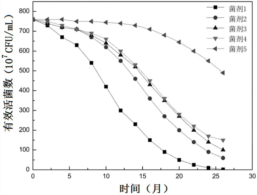 一种含骆驼刺泛菌的微生物液体菌剂及其制备方法和应用与流程