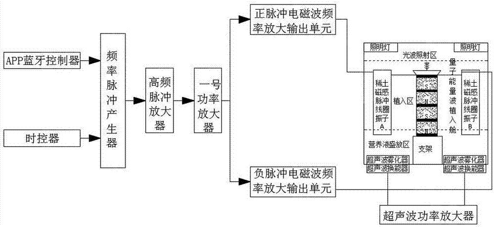 一种发光植物的培育方法与流程