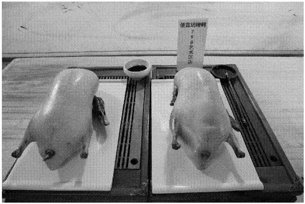 在烤制禽类上形成文字或图案的组合物及形成方法与流程