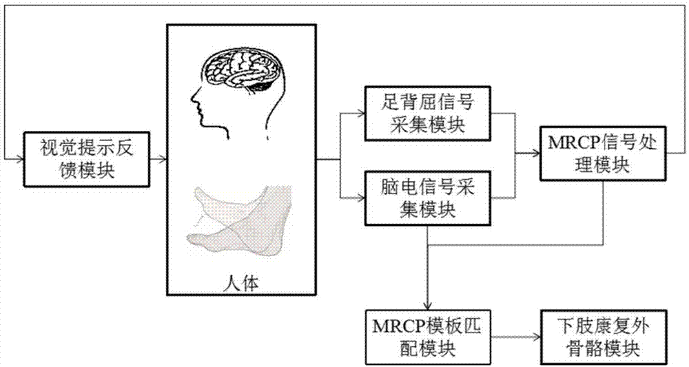 基于运动皮层相关电位脑机接口的下肢外骨骼康复训练