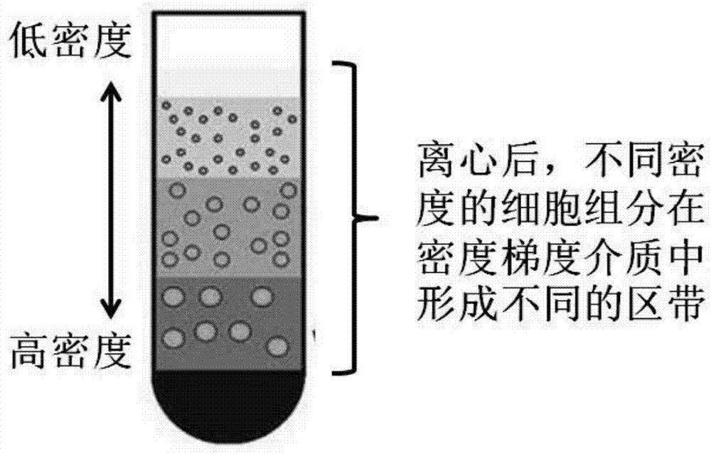 一种用于制作超速离心管预穿刺孔的工具的制作方法