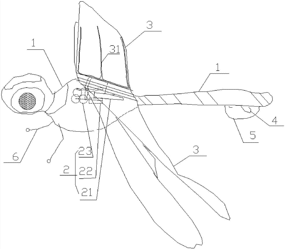 机身与机翼仿照蜻蜓外形,旋转翼体积极小,保持飞行器的外形与蜻蜓神似