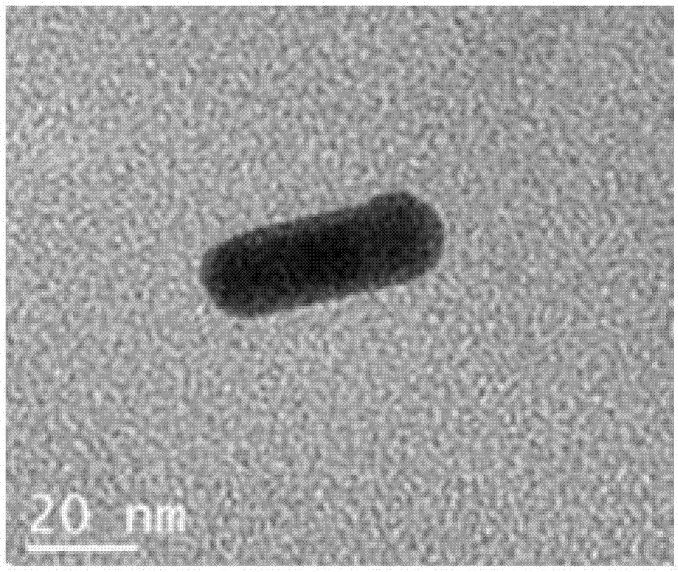 纳米药物载体Au/MnO2及其制备方法与应用与流程