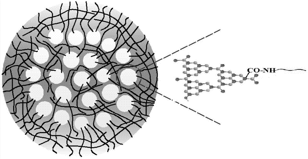 一种PEG/g-C3N4量子点复合荧光纳米微球及其应用的制作方法