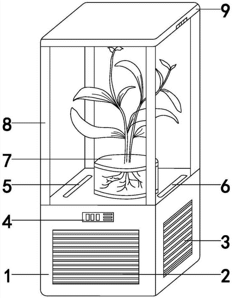 基于无菌试管苗技术的植物空气净化器的制作方法