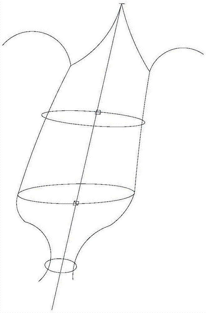 一种鸟类剥制标本环保制作方法与流程