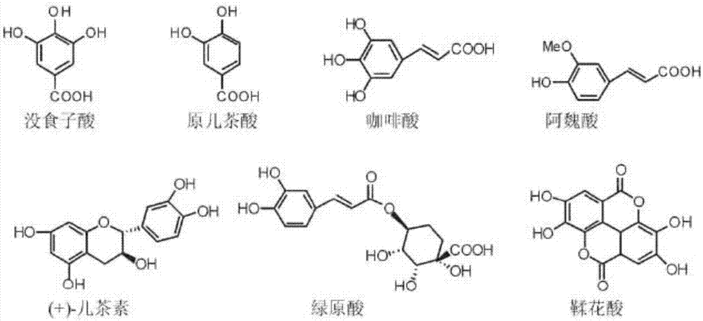 番石榴叶在降低农田土壤重金属毒性中的应用的制作方法