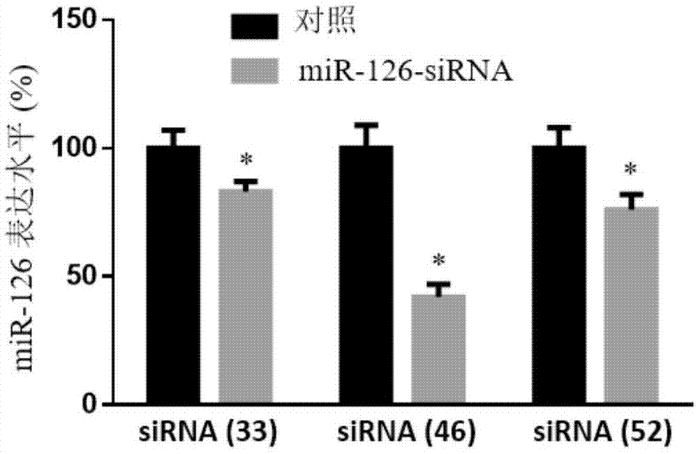 一种siRNA在制备抗热应激心肌损伤药物中的应用的制作方法