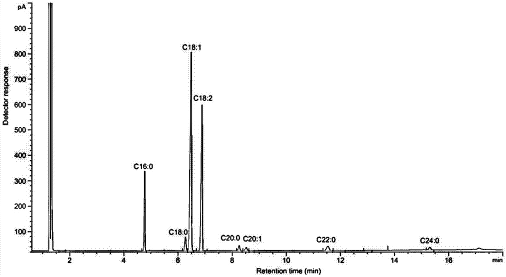 一种高油酸花生突变基因AhFAD2B-814及应用的制作方法