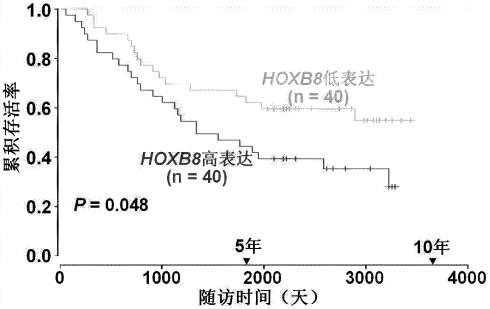 HOXB8基因的定量检测在结直肠癌预后判断中的应用的制作方法