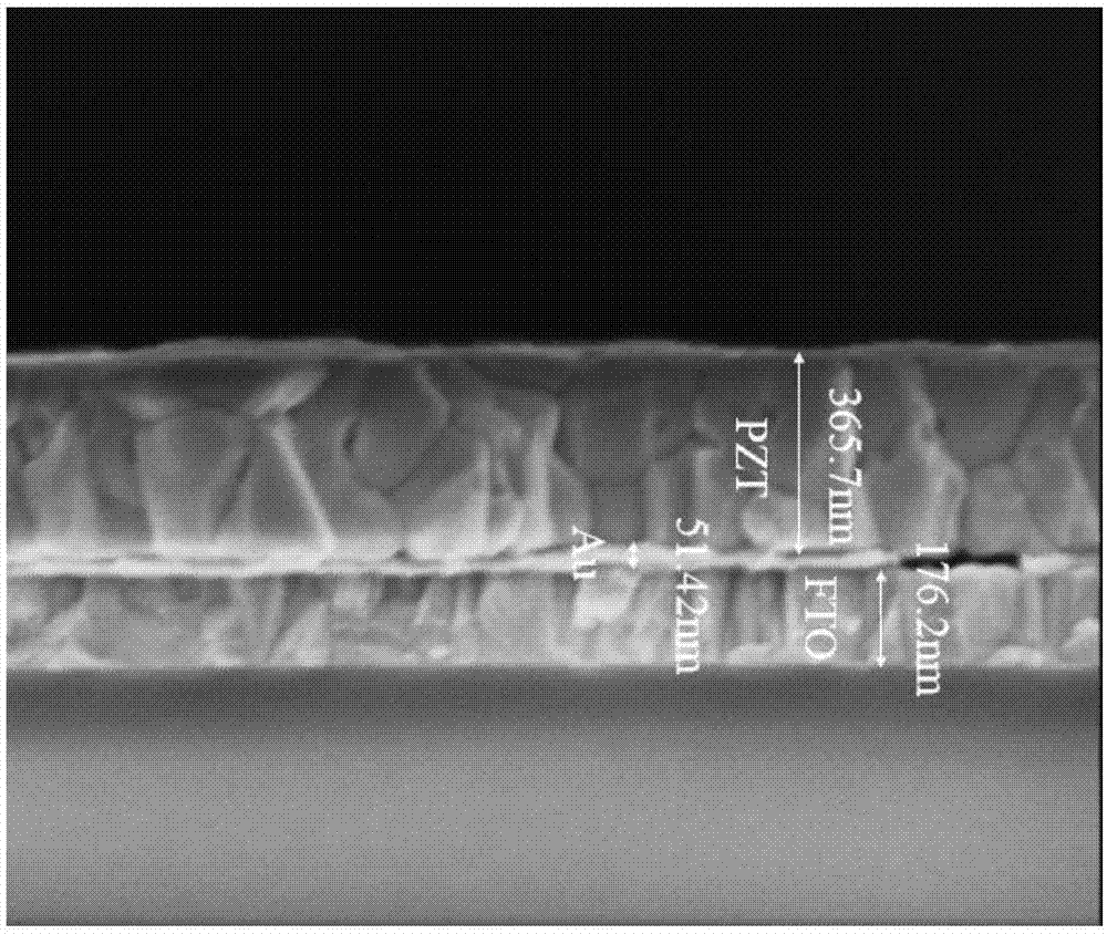 一种锆钛酸铅铁电薄膜光电极及其制备方法与流程