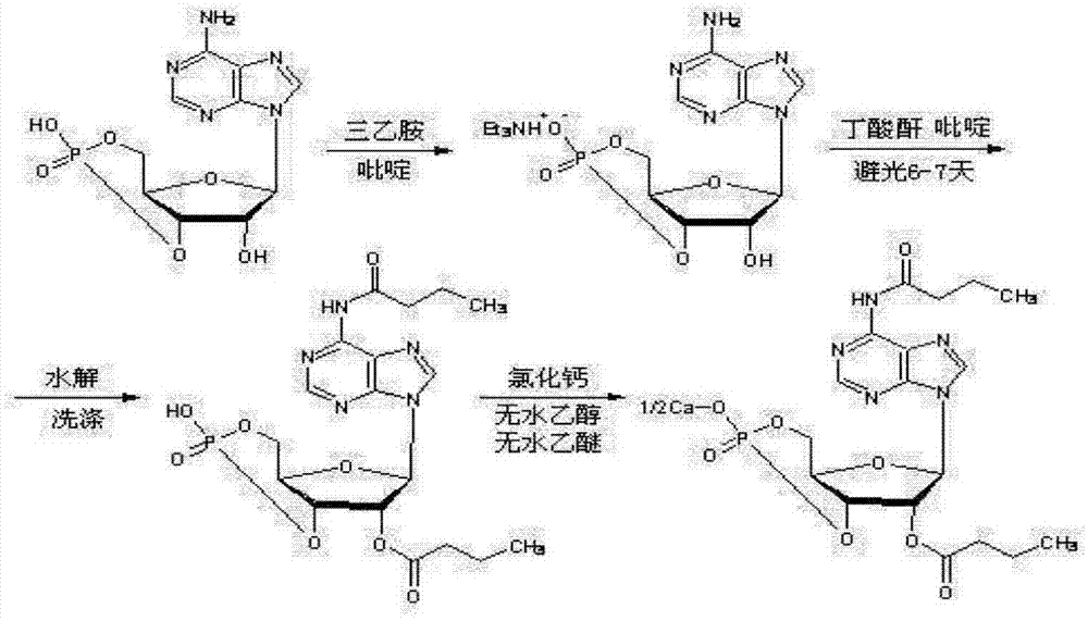 一种二丁酰环磷酸腺苷钙的制备方法与流程