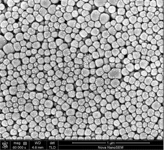一种扫描电子显微镜观察钛酸钡超细粉的方法与流程