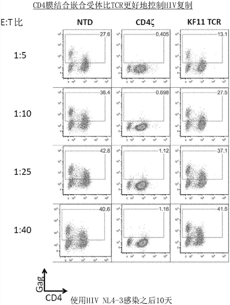 重定向T细胞以治疗HIV感染的方法与流程