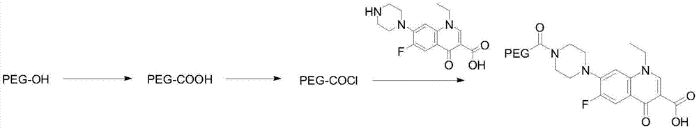 PEG化诺氟沙星及其抑菌应用的制作方法