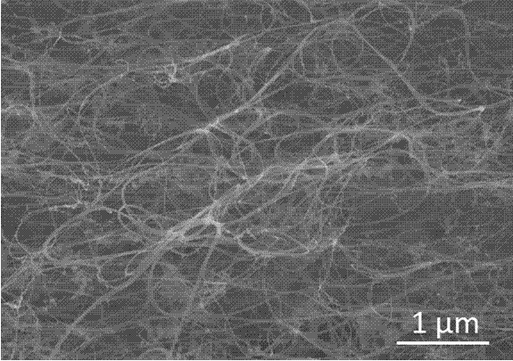 一种双向驱动碳纳米管螺旋纤维复合材料结构的制备方法与流程