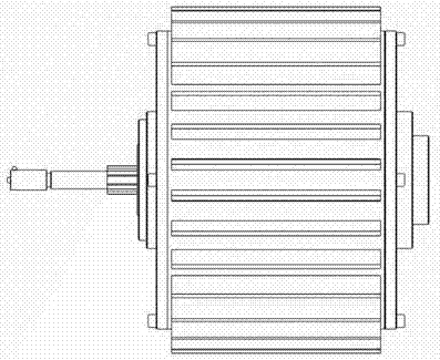 一种大导程螺母的双电机伺服直驱螺旋挤压装置的制作方法