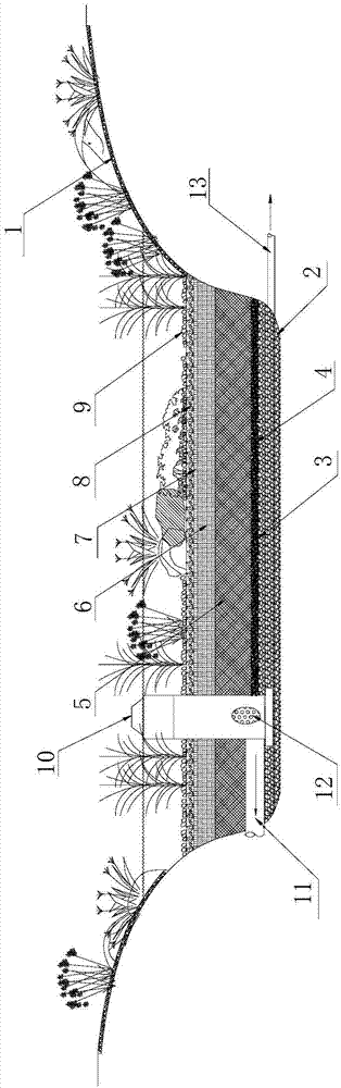 一种基于海绵生态体系水质净化的雨水花园系统的制作方法