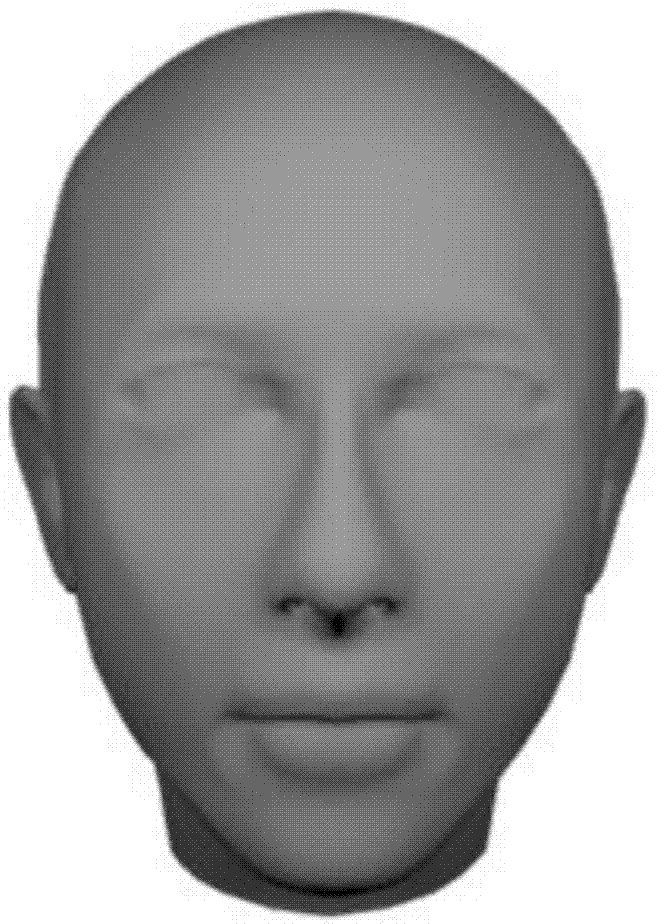 一种基于模板人脸逼近的不规范三维人脸网格纹理方法与流程