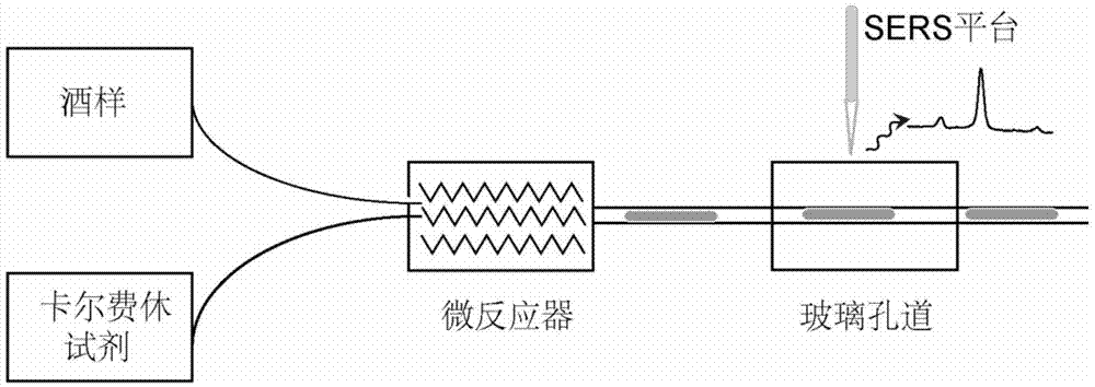 酒中二氧化硫高通量SERS在线检测方法与流程