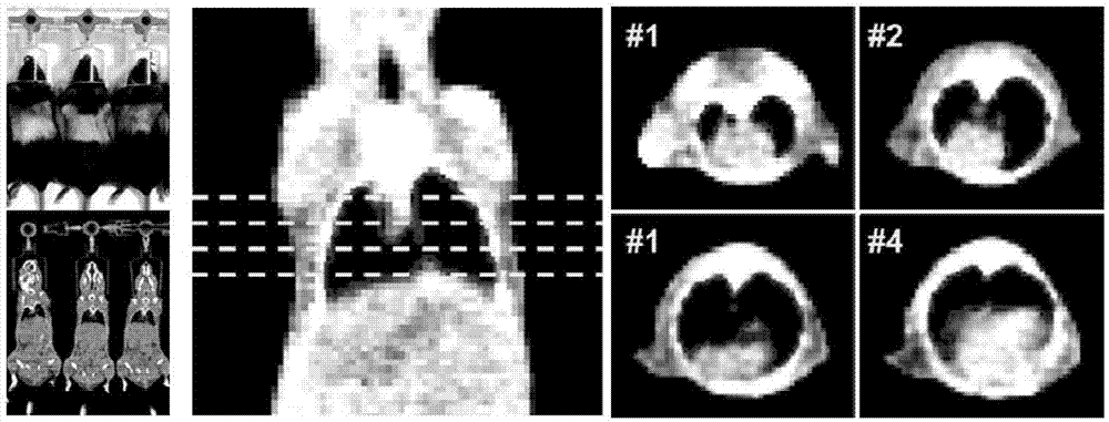 放射生物学实验用放射性肺炎CT定量检测方法与流程