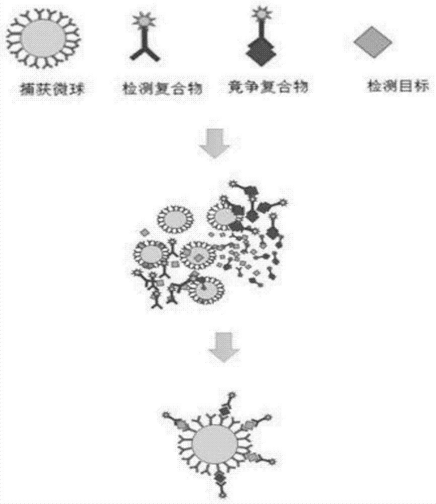 一种基于微球和荧光标记的快速检测抗原或抗体方法与流程