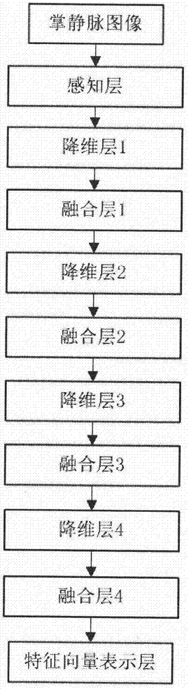 一种基于多尺度卷积核的掌静脉特征提取方法与流程