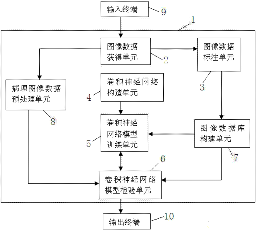 胃幽门螺旋杆菌感染病理诊断支持系统和方法与流程