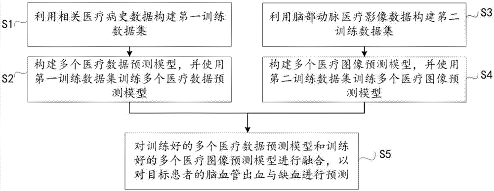 一种脑血管出血与缺血预测方法及装置与流程