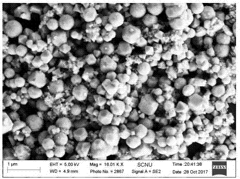 一种氧化亚钴纳米晶的制备方法及其制备的氧化亚钴纳米晶与流程
