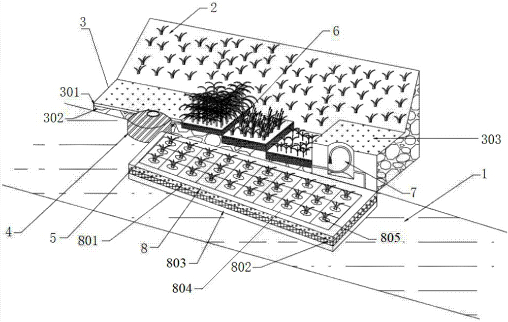 基于海绵城市的阶梯式河道滨水湿地渗滤系统的制作方法