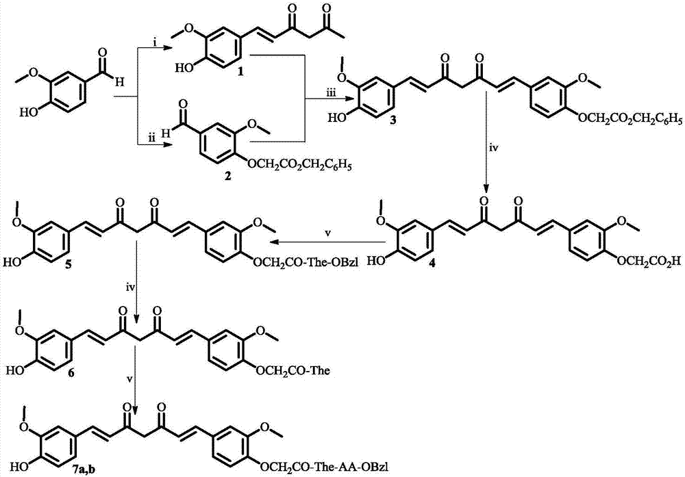 茶氨酰氨基酸苄酯修饰的姜黄素，其合成，活性和应用的制作方法