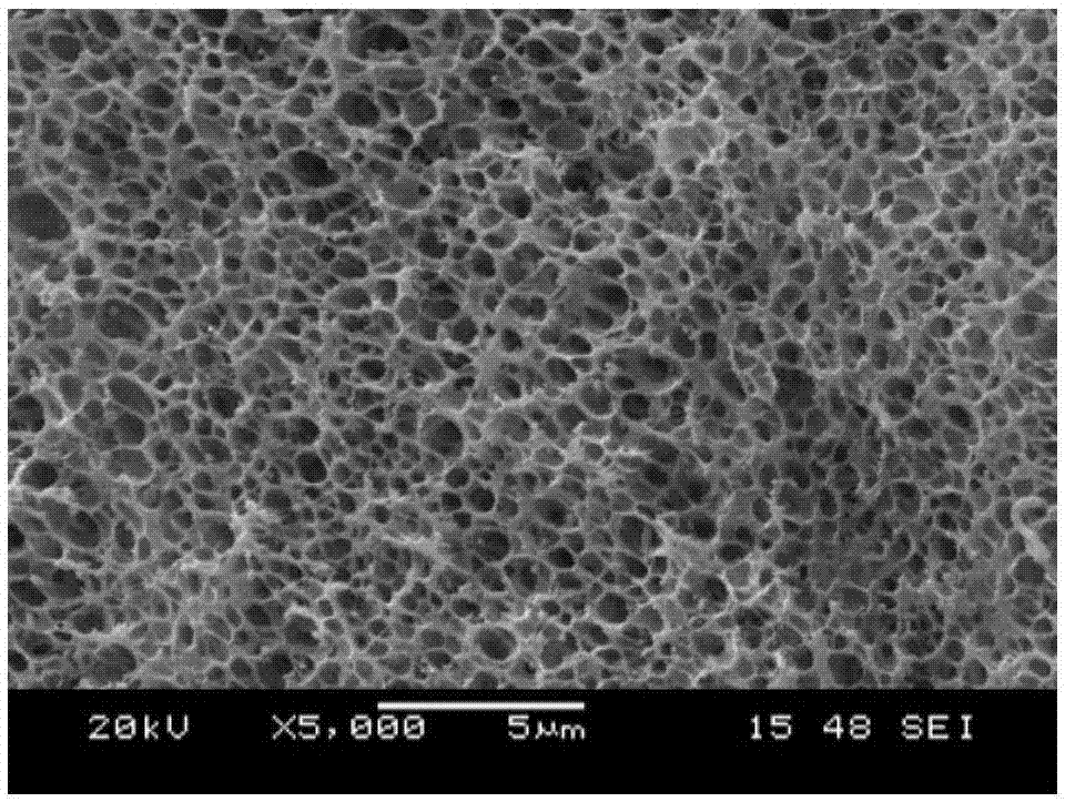 一种纳米孔聚合物泡沫及其制备方法与流程